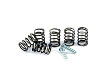 Load image into Gallery viewer, BBR KLX/DRZ110 HIGH PERFORMANCE CLUTCH SPRINGS