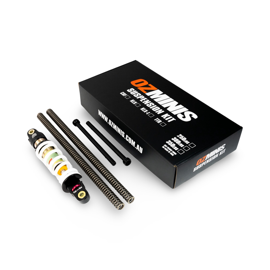 COMPLETE SUSPENSION KIT - TTR110